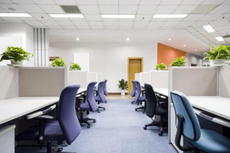 Elevating Workspaces with Professional Office Renovations